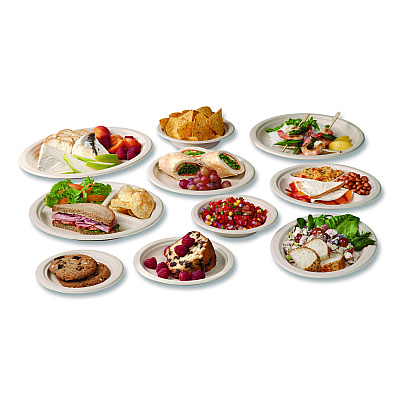 Vegware Nourish Molded Fiber Takeout Containers, Compostable, 5.9 x 5.9 x 2.9, White, Sugarcane, 400/Carton (VEGWH6HW)