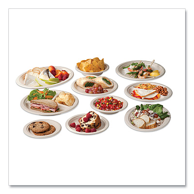 Vegware Nourish Molded Fiber Tableware, Compostable, Plate, 6" dia, White, 1,000/Carton (VEGWH06)