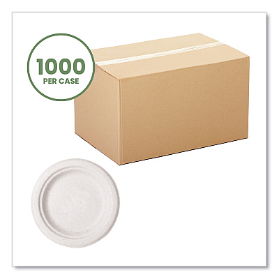 Vegware Nourish Molded Fiber Tableware, Compostable, Plate, 6" dia, White, 1,000/Carton (VEGWH06)