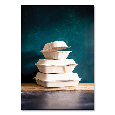Vegware White Molded Fiber Clamshell Containers, Compostable, 3-Compartment, 9 x 18 x 2, White, Sugarcane, 200/Carton (VEGWHBRG93HW)