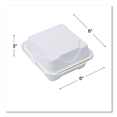 Eco-Products GreenStripe Cold Cup Flat Lids, Fits 9 oz to 24 oz Cups, Clear, 100/Pack, 10 Packs/Carton (ECOEPFLCC)