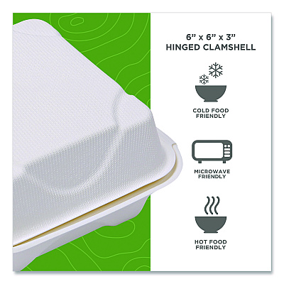 Eco-Products GreenStripe Cold Cup Flat Lids, Fits 9 oz to 24 oz Cups, Clear, 100/Pack, 10 Packs/Carton (ECOEPFLCC)