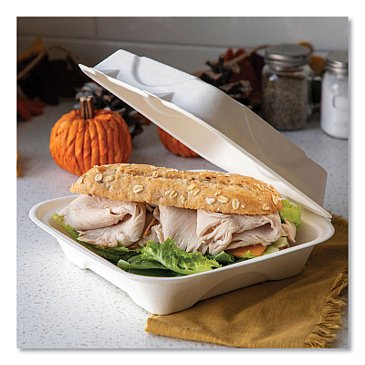 Eco-Products Bagasse Hinged Clamshell Containers, 9 x 9 x 3, White, Sugarcane, 50/Pack, 4 Packs/Carton (ECOEPHC91)