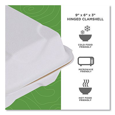 Eco-Products Vanguard Renewable and Compostable Sugarcane Clamshells, 1-Compartment, 9 x 6 x 3, White, 250/Carton (ECOEPHC96NFA)