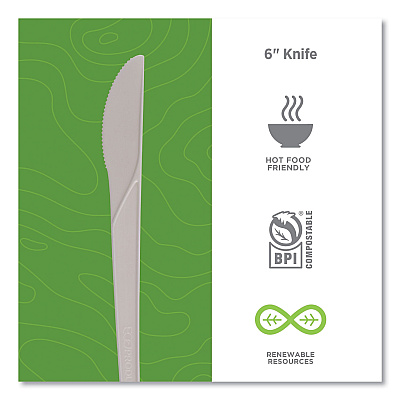 Eco-Products Plantware Compostable Cutlery, Knife, 6", White, 1,000/Carton (ECOEPS011W)