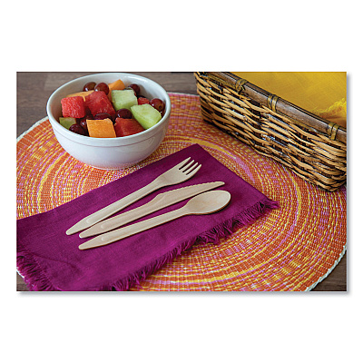 Eco-Products Wood Cutlery, Spoon, Natural, 500/Carton (ECOEPS213W)