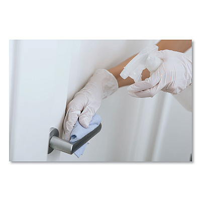 SemperGuard Latex Gloves, Cream, Large, 100/Box, 10 Boxes/Carton (SEZINDPS104)