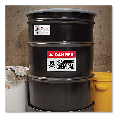 Avery Surface Safe ID Labels, 4 x 6, White, 2/Sheet, 50 Sheets/Box (AVE61505)