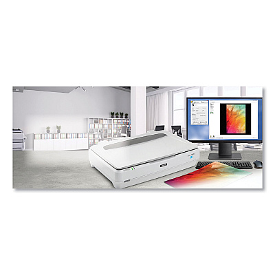Epson Expression 13000XL Archival Scanner, Scans Up to 12.2" x 17.2", 4800 dpi Optical Resolution (EPSB11B257201)