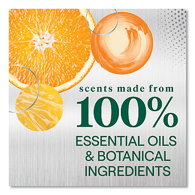 Seventh Generation Foaming Dish Spray, Mandarin Orange Scent, 16 oz Bottle, 6/Carton (SEV45169CT)