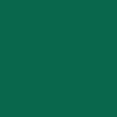 Terry Polishing Hand Towel 16x27 Hunter Green, Pack Of 12 (P-N030-HG1627-4)