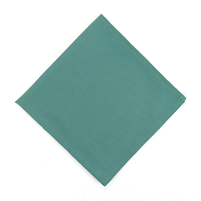 Mariposa Poly Spun Napkin 20x20 Green, Pack Of 25 (PNP-NAP-GREEN-25)