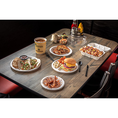 Pactiv Evergreen EarthChoice PFAS Free Compostable Dinnerware, Plate, 9" dia, Natural, 500/Carton (PCTYMC50009PFFR)