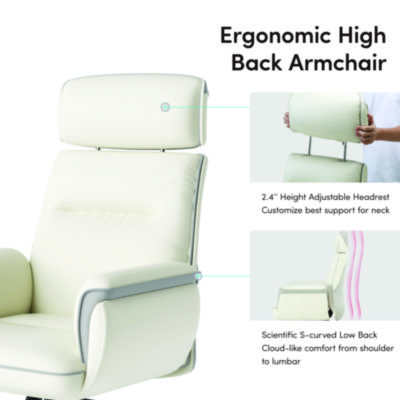 Eureka Royal Executive Office Chair, Support up to 300 lb, 19.46"-22.26" Seat Height, White PU Leather Seat, White Faux Leather Back (EKAOC003OW)