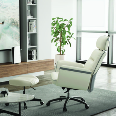 Eureka Royal Executive Office Chair, Support up to 300 lb, 19.46"-22.26" Seat Height, White PU Leather Seat, White Faux Leather Back (EKAOC003OW)