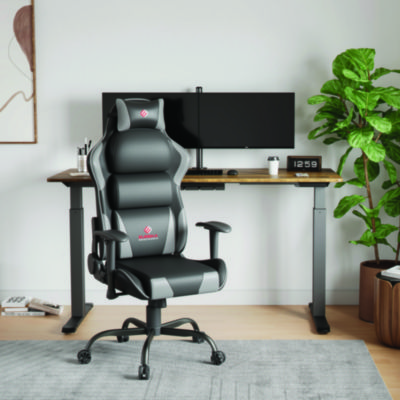 Eureka Hector Ergonomic Chair, Supports Up to 300 lb, 20.25" - 24.25" Seat Height, Black PU Leather Seat, Black/Gray PU Leather Back (EKAGC07GY)