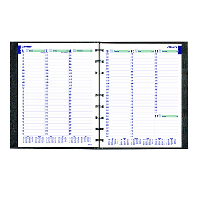 Blueline Plan and Link Weekly Appointment Planner, 9.25" x 7.25", Black Cover, 12-Month (Jan to Dec): 2025 (C5275C81)