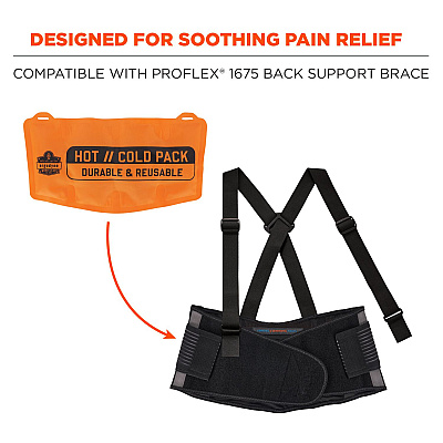 ergodyne ProFlex 6275 Reusable Hot/Cold Pack Replacement, 13 x 6.7, 2/Pack (EGO12212)