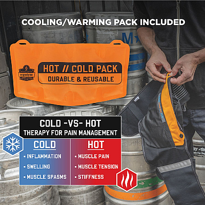 ergodyne Proflex 1675 Back Support Brace with Cooling/Warming Pack, Large, 34" to 38" Waist, Black (EGO11122)