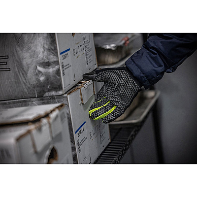 ergodyne ProFlex 850 Insulated Freezer Gloves, Black, 2X-Large, Pair (EGO18156)