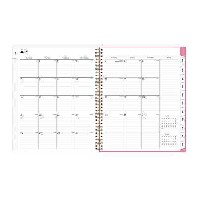 Blue Sky Roosevelt Pink Academic Weekly/Monthly Planner, Floral Artwork, 11" x 8.5", Pink/Gray Cover, 12-Month (July-June): 2025-2026 (128691)