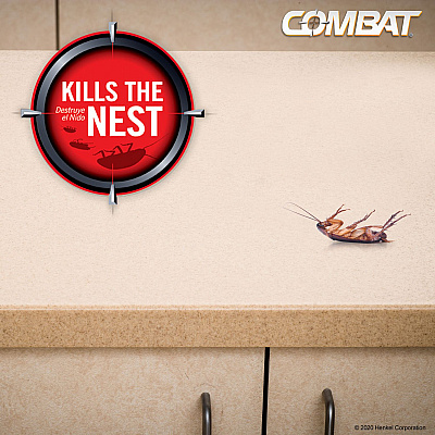 Combat Roach Bait Insecticide, 0.42 oz, 12/Pack, 10 Packs/Carton (DIA05701)