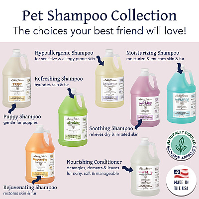 Bobbi Panter Botanicals Nourishing Dog Conditioner Shea Butter (1 Gallon), Case Of 4 (BP00077-CS)