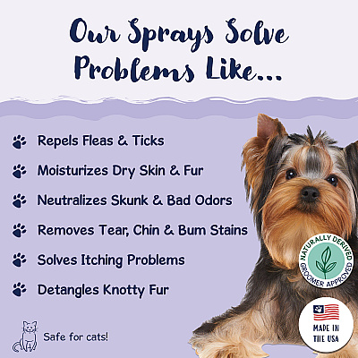 Bobbi Panter Signature Snarly Dog Detangling Spray (8oz), 8 Oz Bottle (BP00040)