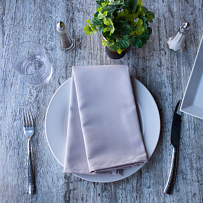 Mariposa Poly Spun Napkin 20x20 Light Gray, Case Of 300 (NAP-GREY-SPUN-CS)