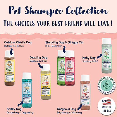 Bobbi Panter Signature Gorgeous Dog Shampoo Chamomile (13 Oz), 13 Oz Bottle (BP00000)