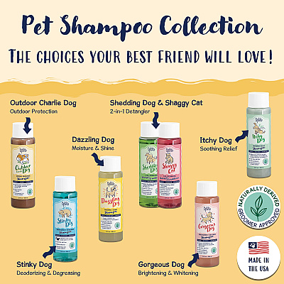Bobbi Panter Signature Outdoor Dog (charlie Dog) Shampoo (13 Oz), Clove Oil, Lavender Oil, Cedarwood Oil, Citronella, Case Of 12 (BP00090-CS)