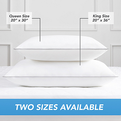 Host & Home 2 Pack Bed Pillow Queen 20x30, Case Of 8 (HH-2PK-PIL-QN)