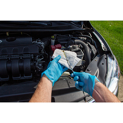 Proworks Polyethylene Stretch Gloves Blue Lrg - Case Of 2000 (GL-SP200BL)