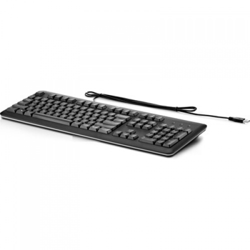 HP USB Keyboard for PC (QY776AA#ABA)