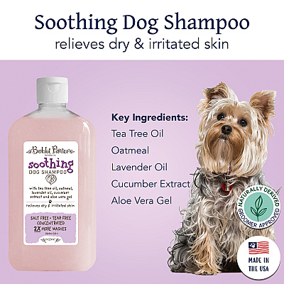 Bobbi Panter Botanicals Soothing Dog Shampoo, Lavender/cucumber (14 Oz), Case Of 12 (BP00026-CS)
