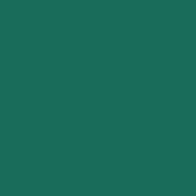 Cooks Linen Pot Holder 7x7 Green, Case Of 144 (POT-GREEN-CS)