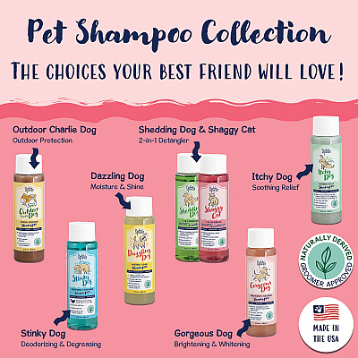 Bobbi Panter Signature Shaggy Cat Shampoo & Conditioner (13 Oz), Vitamin E, Jojoba Oil, And Aloe Vera, Case Of 12 (BP00097-CS)
