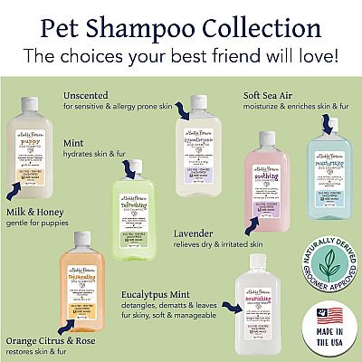 Bobbi Panter Botanicals Refreshing Dog Shampoo Mint/chamoile (14 Oz), 14 Oz Bottle (BP00036)