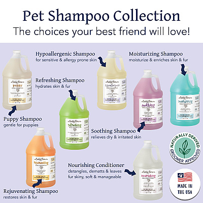 Bobbi Panter Botanicals Hypoallergenic Dog Shampoo Rosemary (1 Gallon) (BP00057)
