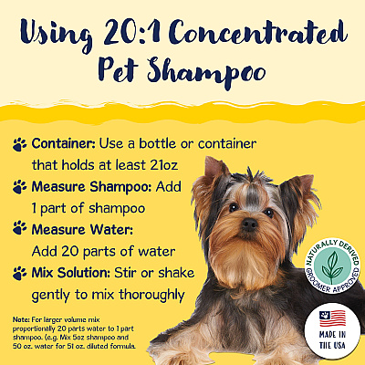 Bobbi Panter Signature Dazzling Dog Shampoo (1 Gallon) Argan Oil, Vitamin A, Geranium And Chamomile, 1 Gallon Bottle (BP00033)