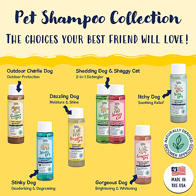 Bobbi Panter Signature Dazzling Dog Shampoo (13 Oz) Argan Oil, Vitamin A, Geranium And Chamomile, 13 Oz Bottle (BP00012)