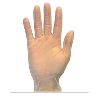 Safety Zone Vinyl Powdered 2.5 Mil Gloves Clear Xl - Case Of 1000 (GVDR-XL-HH)