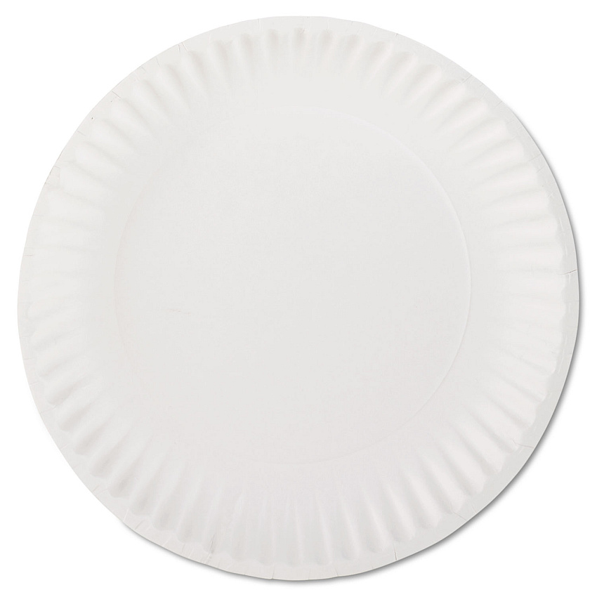 AJM Packaging White Paper Plates, 9" dia, 100/Pack (AJMPP9GREWHPK)