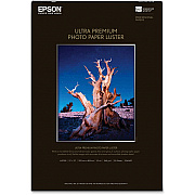 Epson Ultra Premium Luster Photo Paper (EPSS041407)