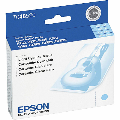 Epson T0485 Original Ink Cartridge (EPST048520S)