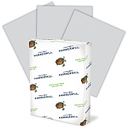 Hammermill Colors Recycled Copy Paper - Gray (HAM102889)