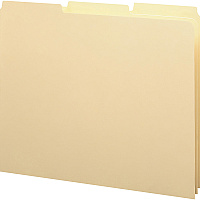 Smead Filing Guides with Blank Tab (SMD50134)