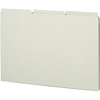 Smead Filing Guides with Blank Tab (SMD52334)
