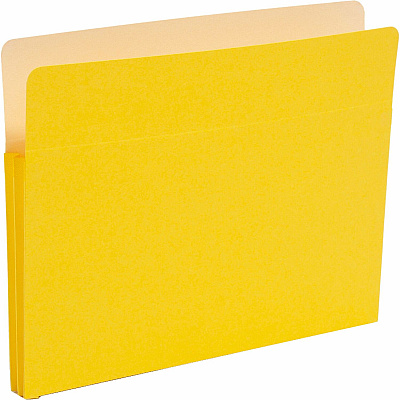 Smead Straight Tab Cut Letter Recycled File Pocket (SMD73223)