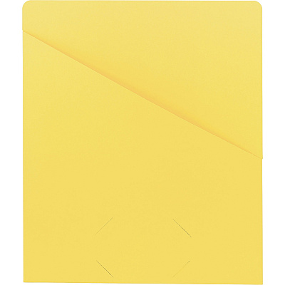 Smead Letter Recycled File Jacket (SMD75434)